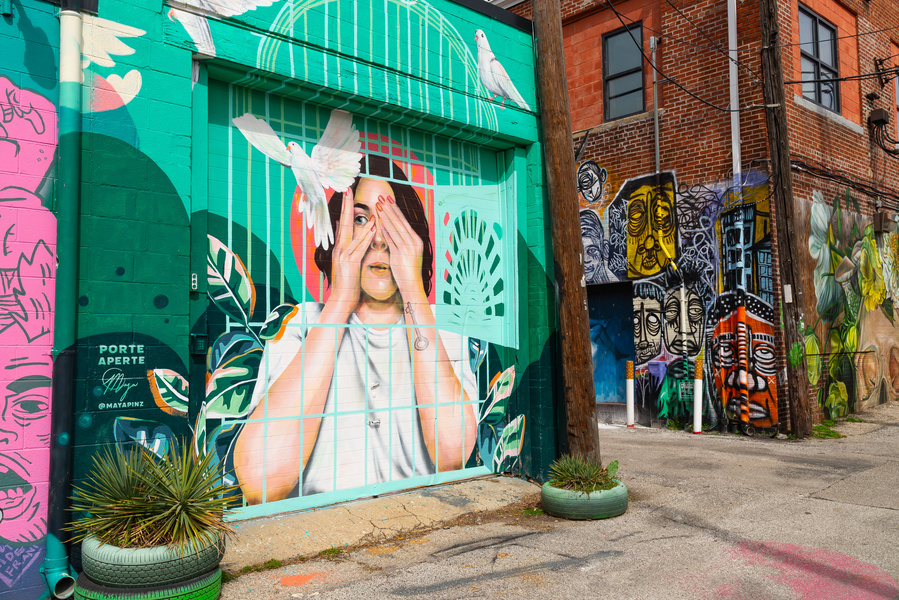 A colorful mural covers the wall of an urban alleyway, featuring a person with hands over one eye, surrounded by birds, plants, and vibrant geometric designs. Additional street art decorates the adjacent brick buildings.